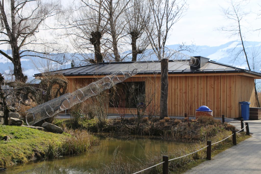Lemuren-Gehege, Kinderzoo Rapperswil – Bild 4