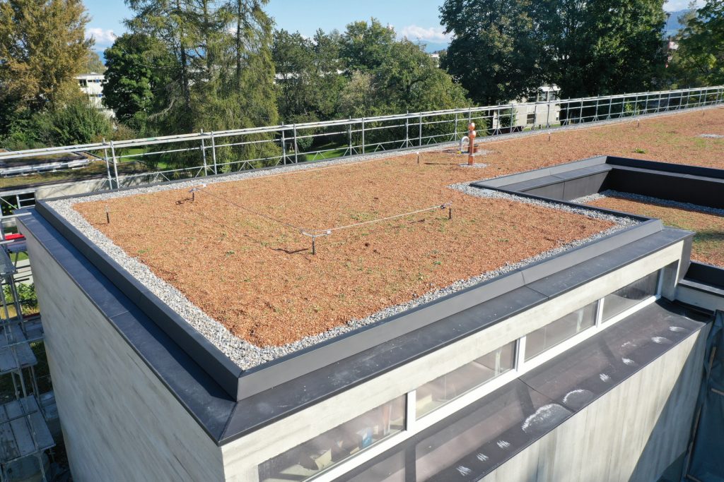 Schulcampus Stacherholz, Arbon – Bild 5
